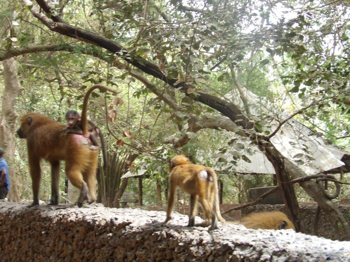 הוילה Sanyang Pombo Kunda מראה חיצוני תמונה